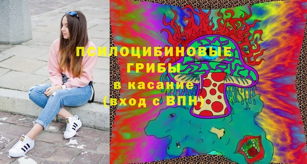 2c-b Армянск