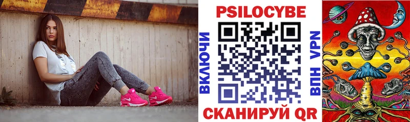 Псилоцибиновые грибы Psilocybe  Дальнегорск 